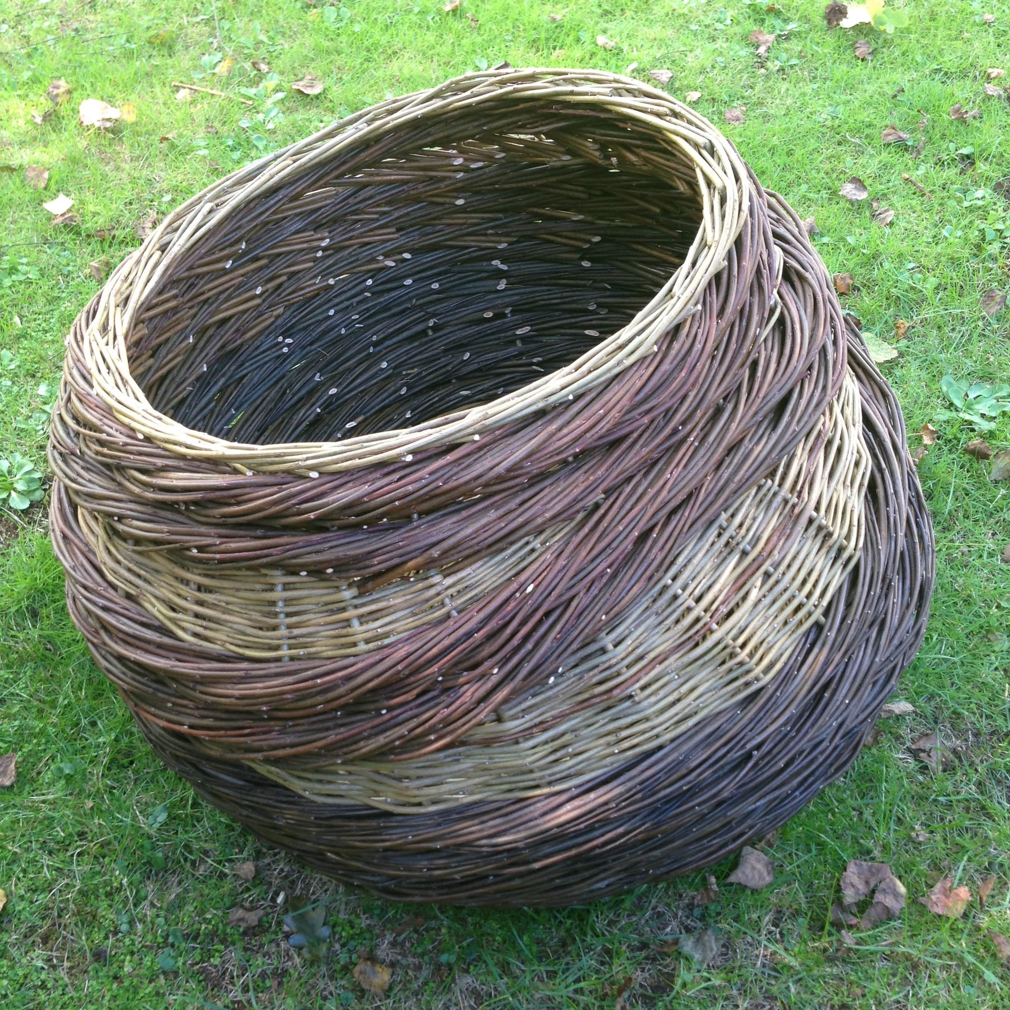 Asymmetrical Basket