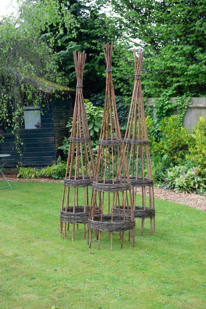Large Wigwam Plant Supports Louise Brown Basketmaker