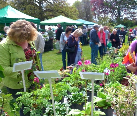 Bishop's Waltham Garden Fair