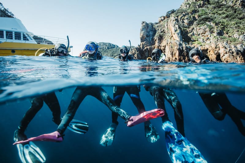 scuba-diving-new-zealand-padi-dive-courses-auckland