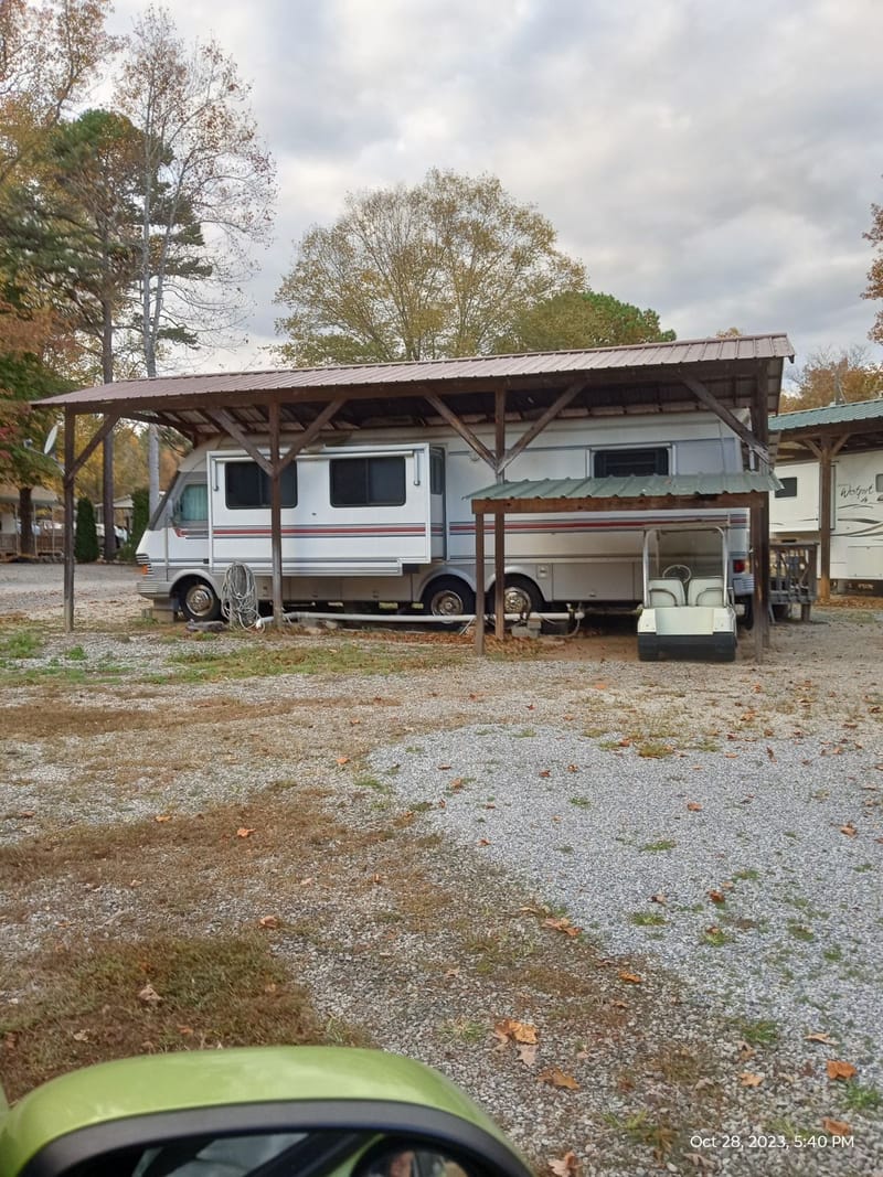 Paddy Creek Campground