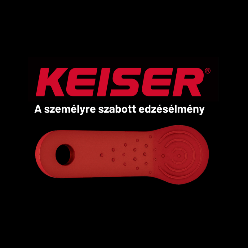 KEISER E-CHIP