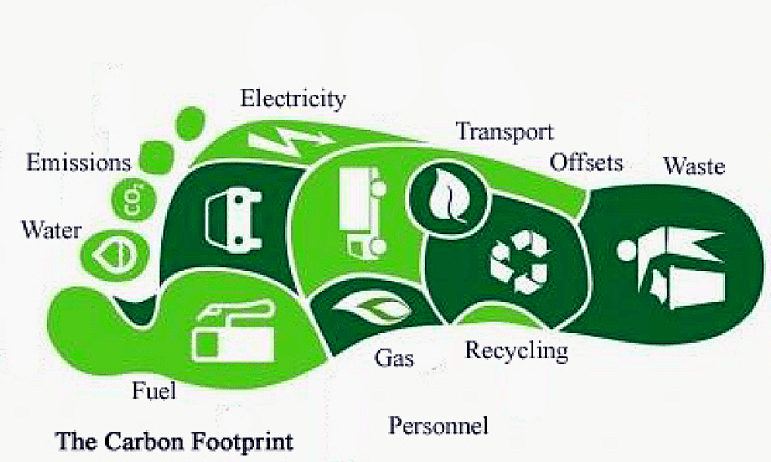 Carbon Footprint Assessment