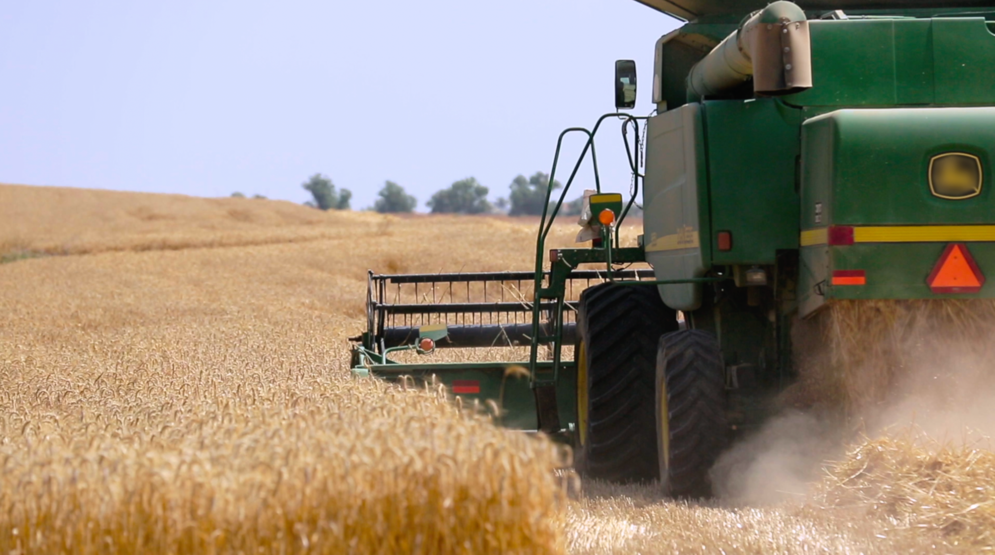 Cargill e ADM são Acusadas de Frustrar Proibição da Soja de Terras Desmatadas na América do Sul