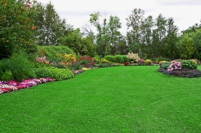 Reasons Why Hiring a Landscape Design Company is Good for Your Home image