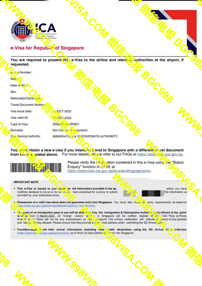 菲律宾办理迪拜电子签证这样申请！快捷有便宜！