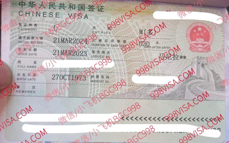 菲律宾办理赴华签证中国签证服务
