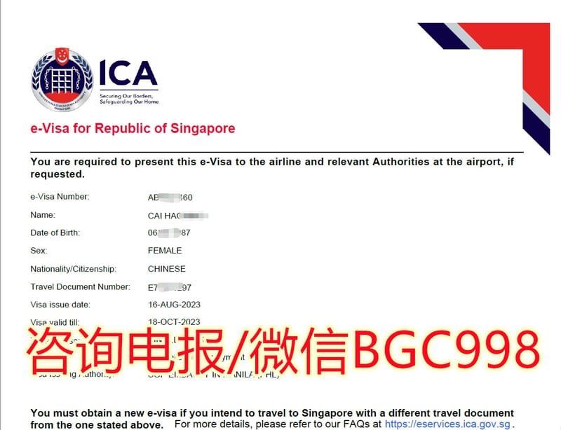 菲律宾申请办理新加坡签证服务