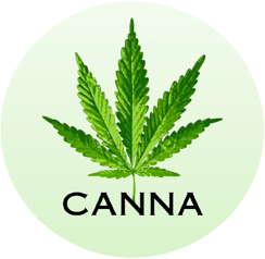 CannabinoidDB