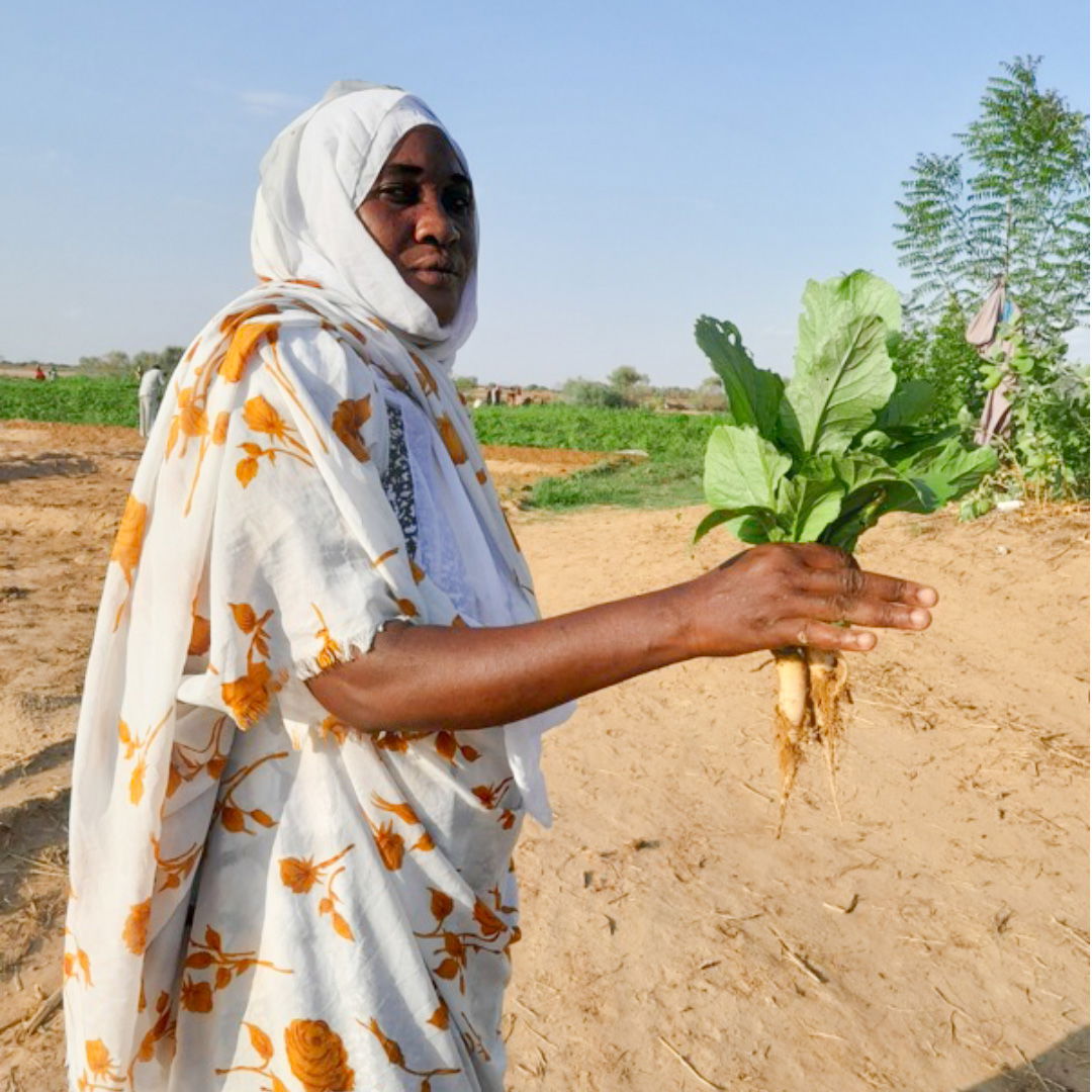 Drought sustainable and livelihood program funded by IGAD 2018