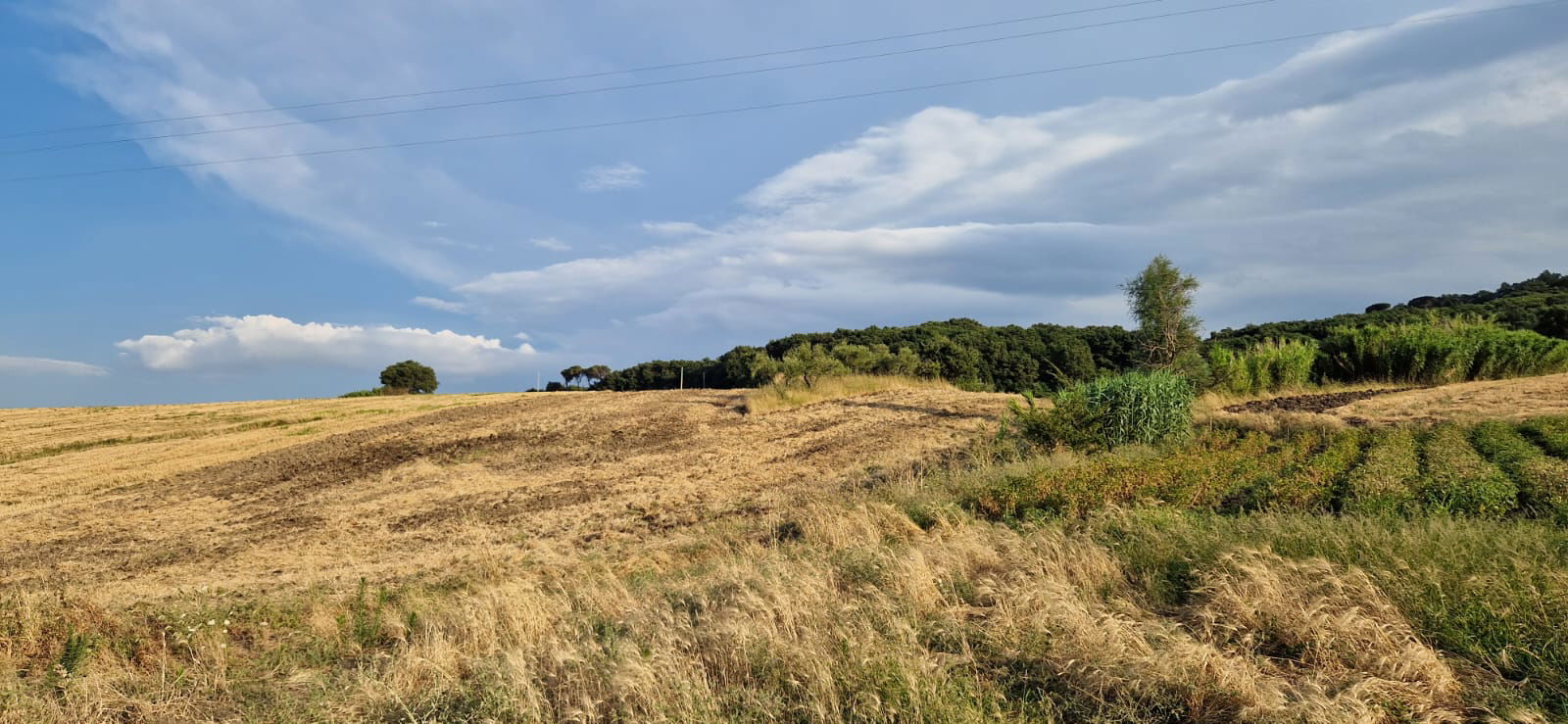 Puglia-Farm. Allestimento nuova area. Agosto 2023