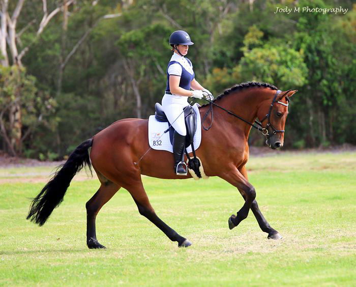 Dressage Training