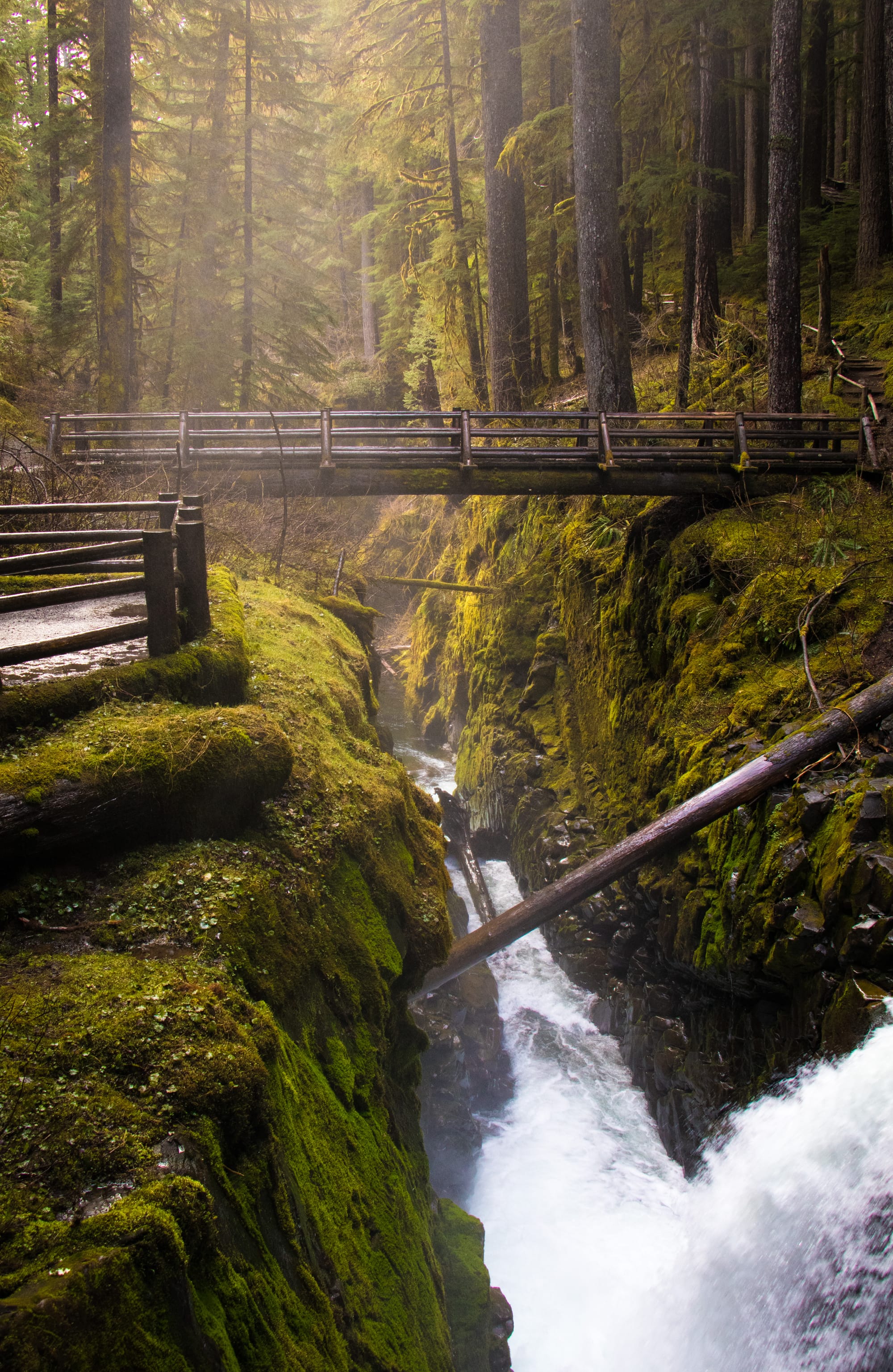 Sol Duc Falls