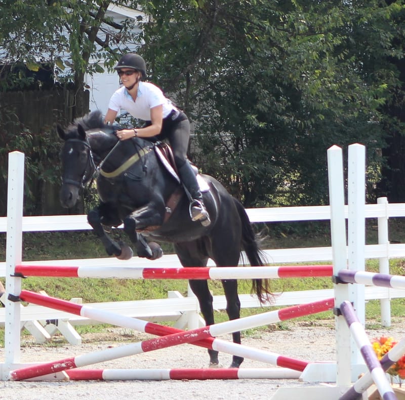 Michael Pollard Dressage and Jumping Clinic