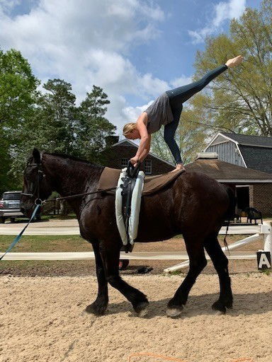 Beginner Vaulting Camp