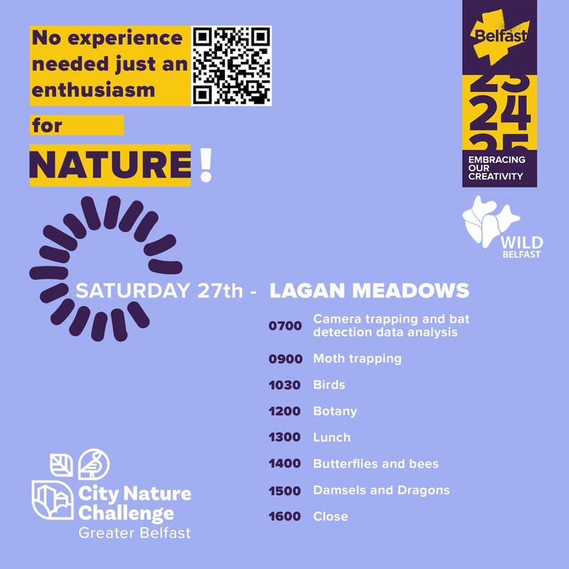 City Nature Challenge Day 1