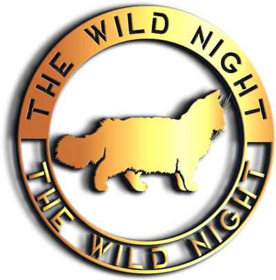 The Wild Night