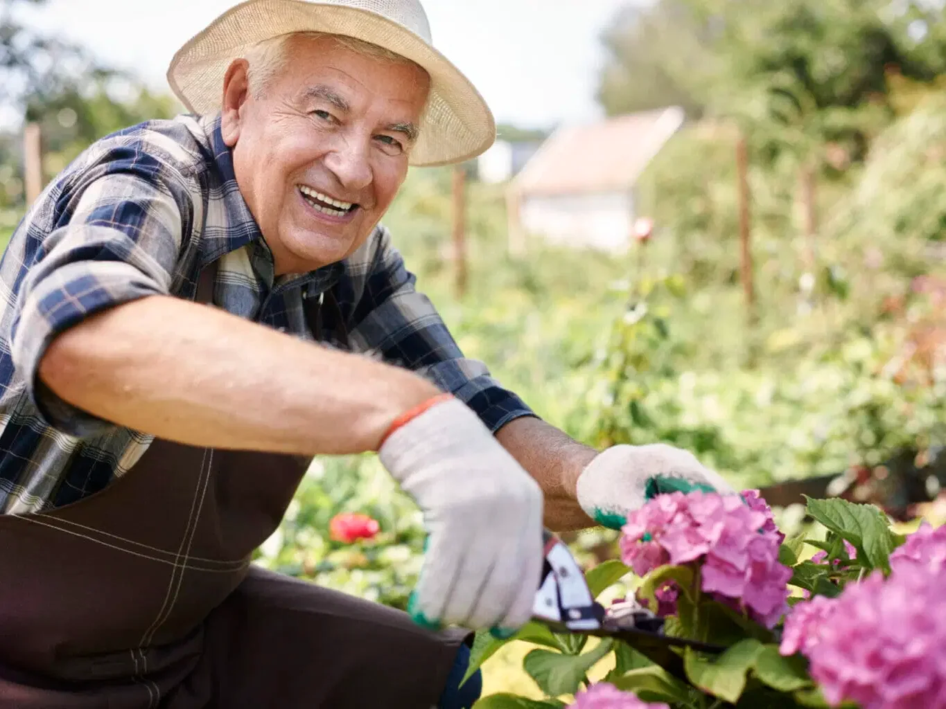 Container Gardening: A Perfect Solution for Seniors