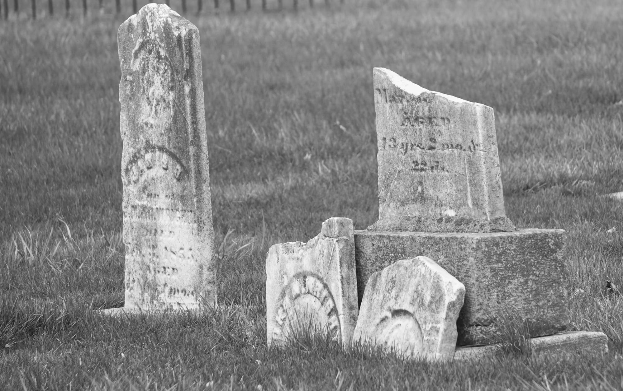 The Dark History Behind the Demise of Greenlawn Cemetery