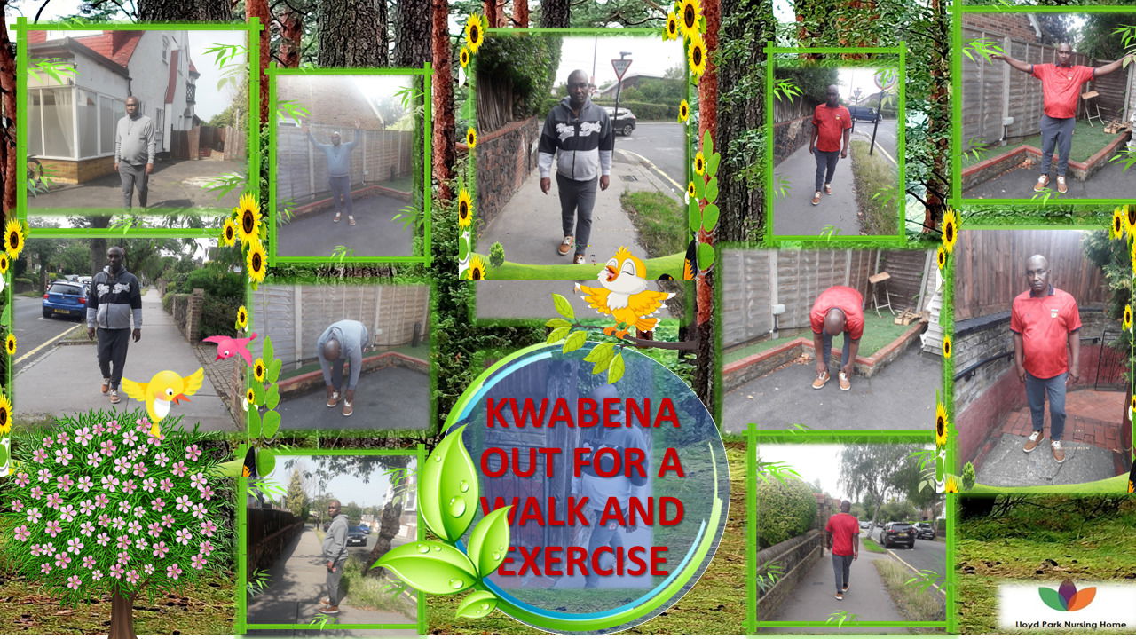 Kwabena in the woods for a Walk and Exercise.......