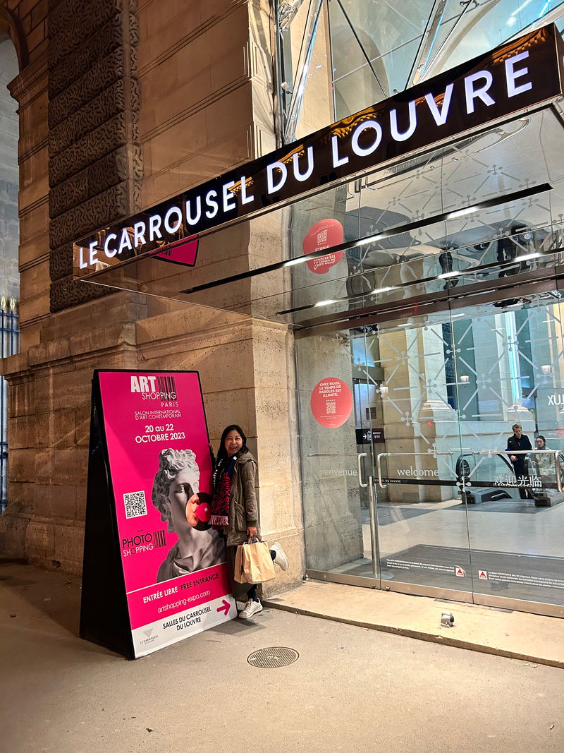 Carousel Du Louvre Exhibit