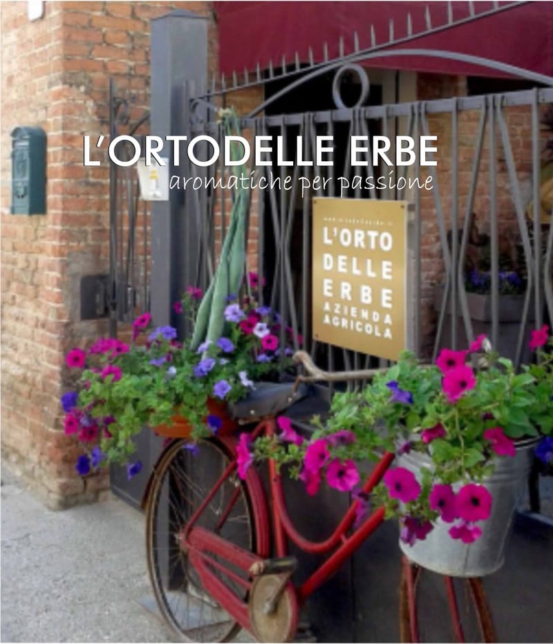 Fiori eduli commestibili erbe aromatiche - Fattoria delle Erbe