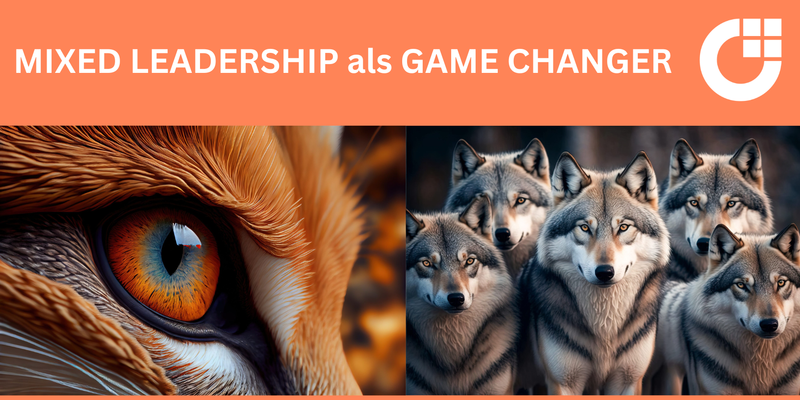 MIXED LEADERSHIP als GAME CHANGER