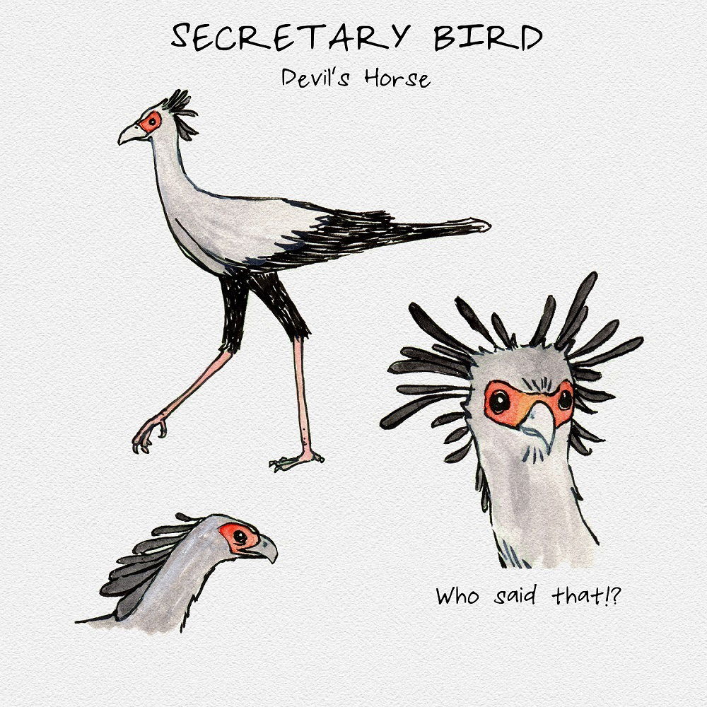 Secretary Bird