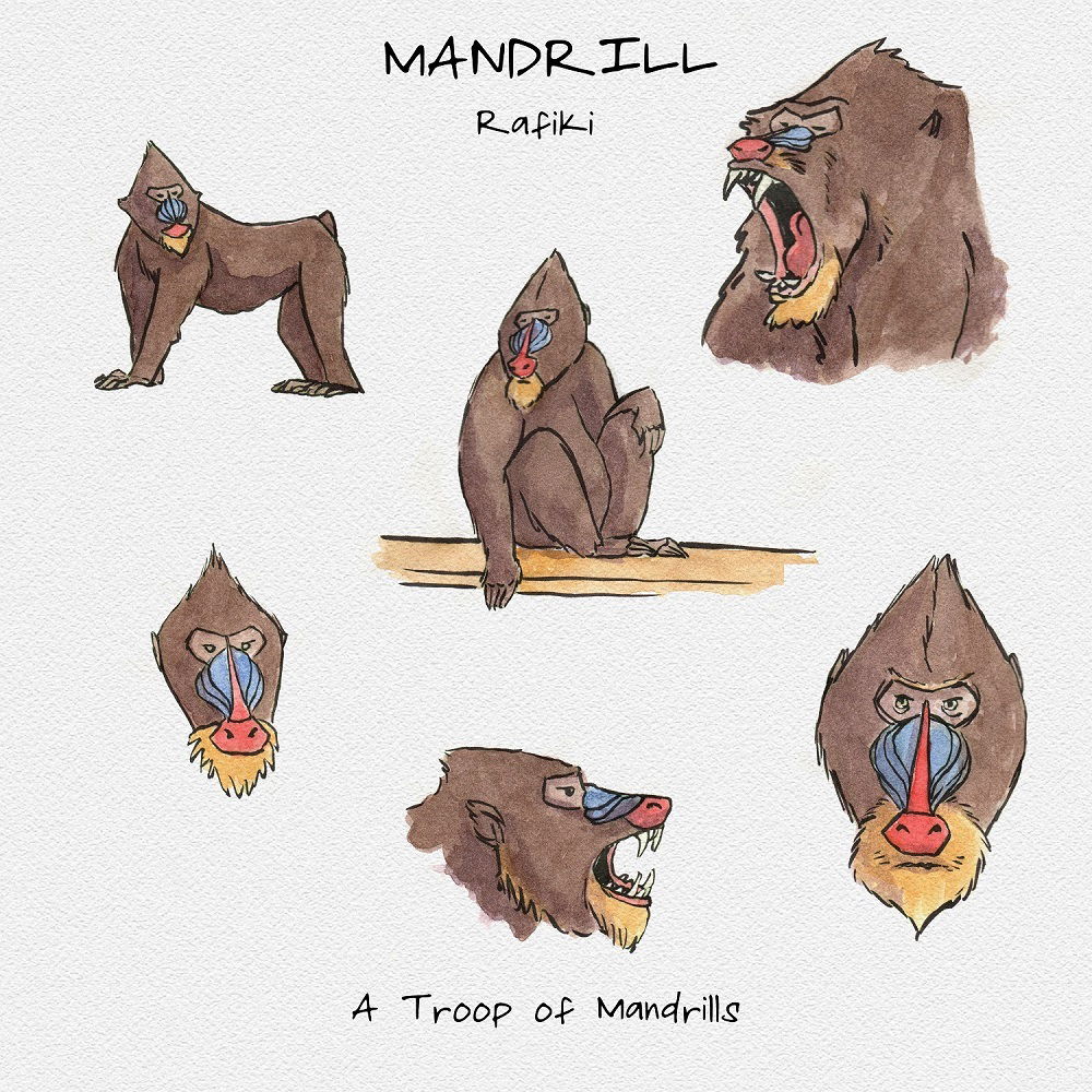 Mandrill