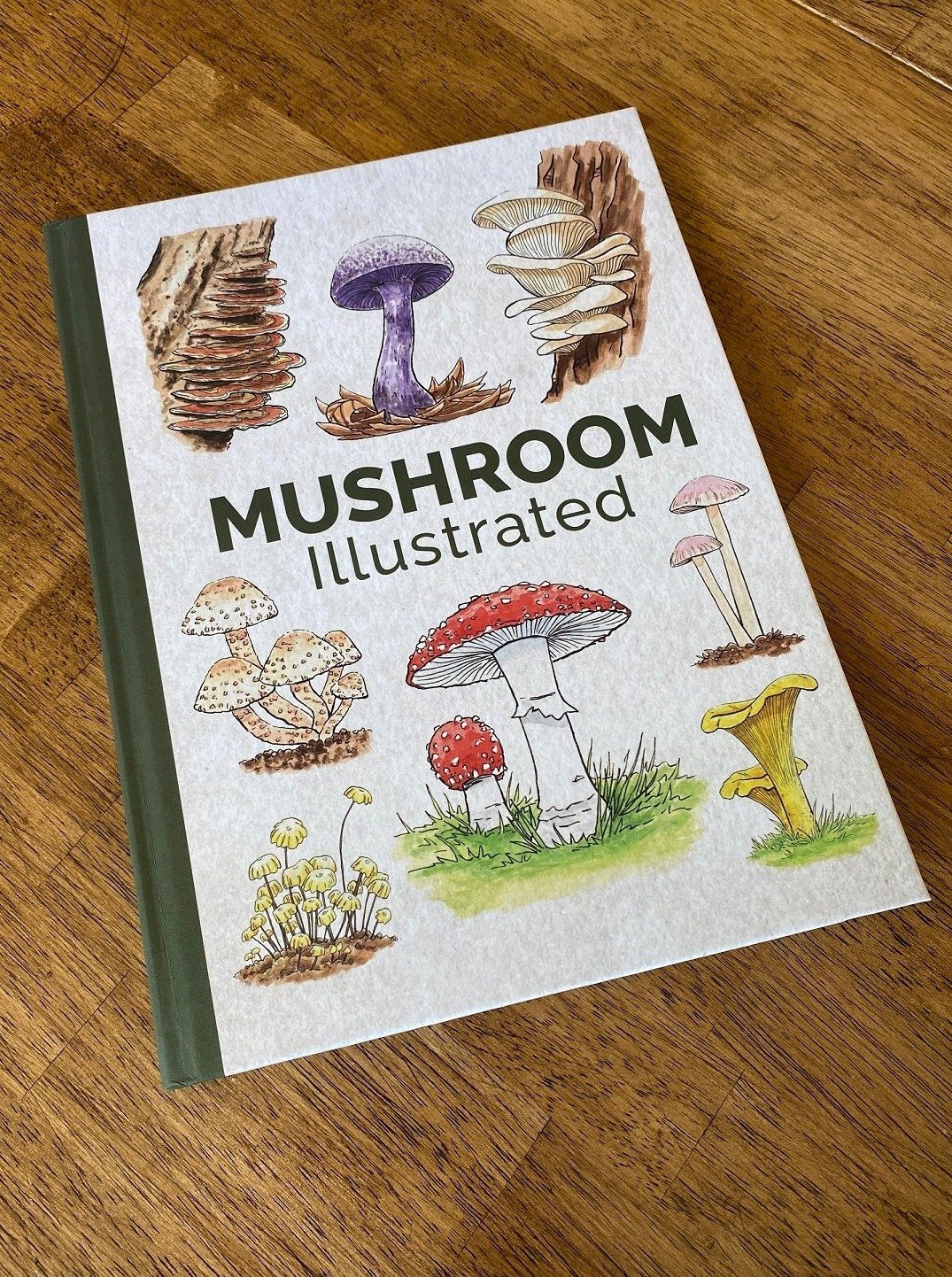 Mushroom Illustrated Book
