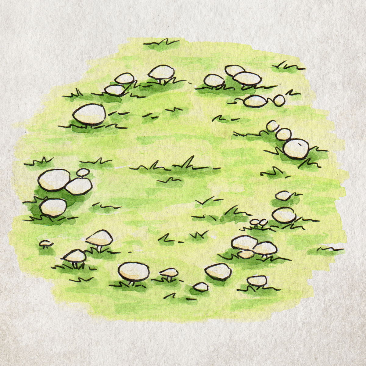 Fairy Ring