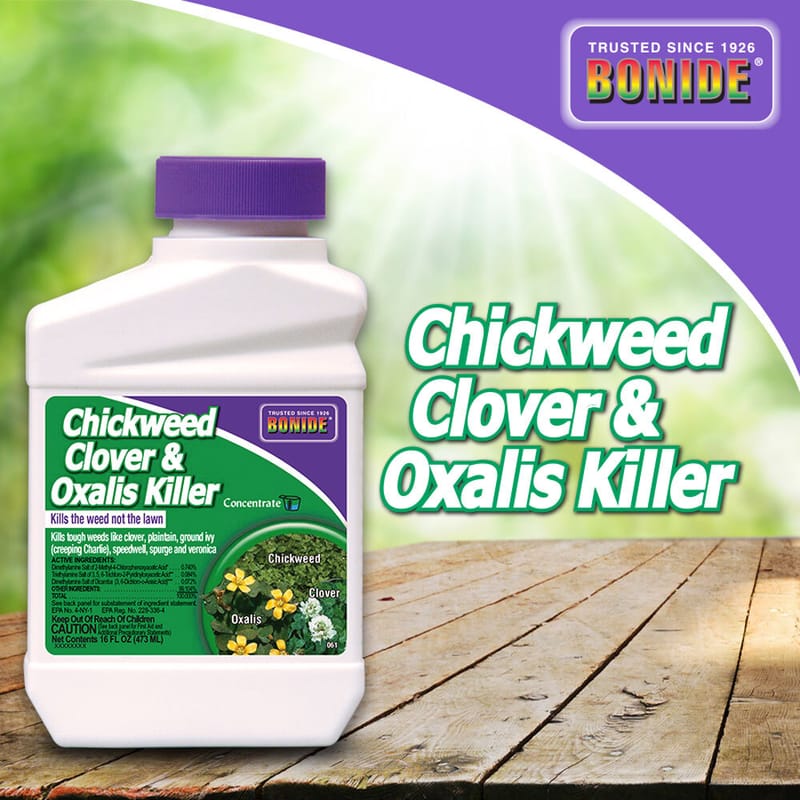 Chickweed, Clover, & Oxalis Killer Concentrate Pint www