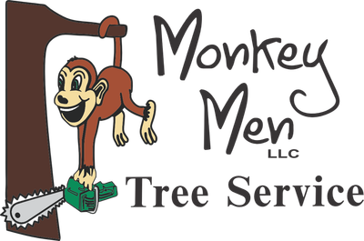 www.monkeymentreeservicellc.com
