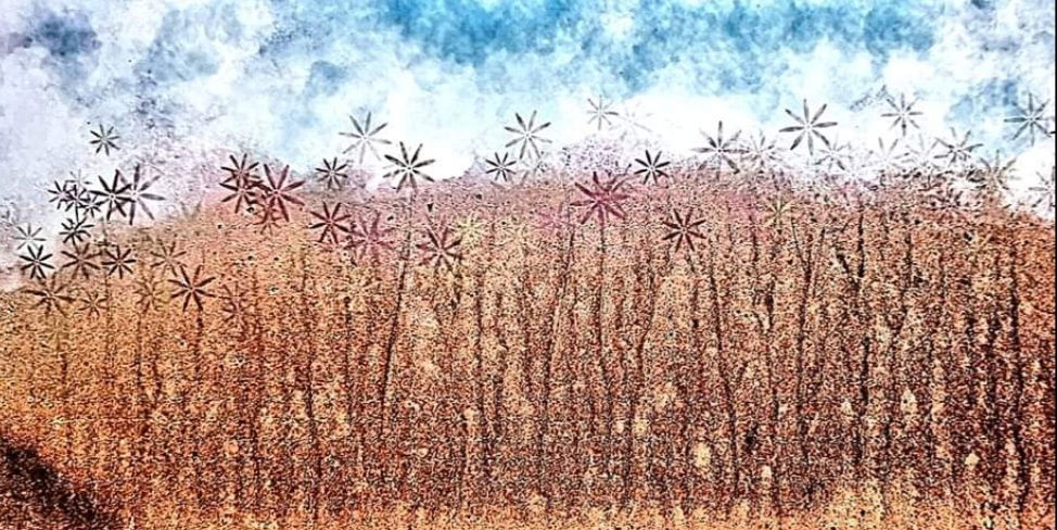 Frosty Meadow
