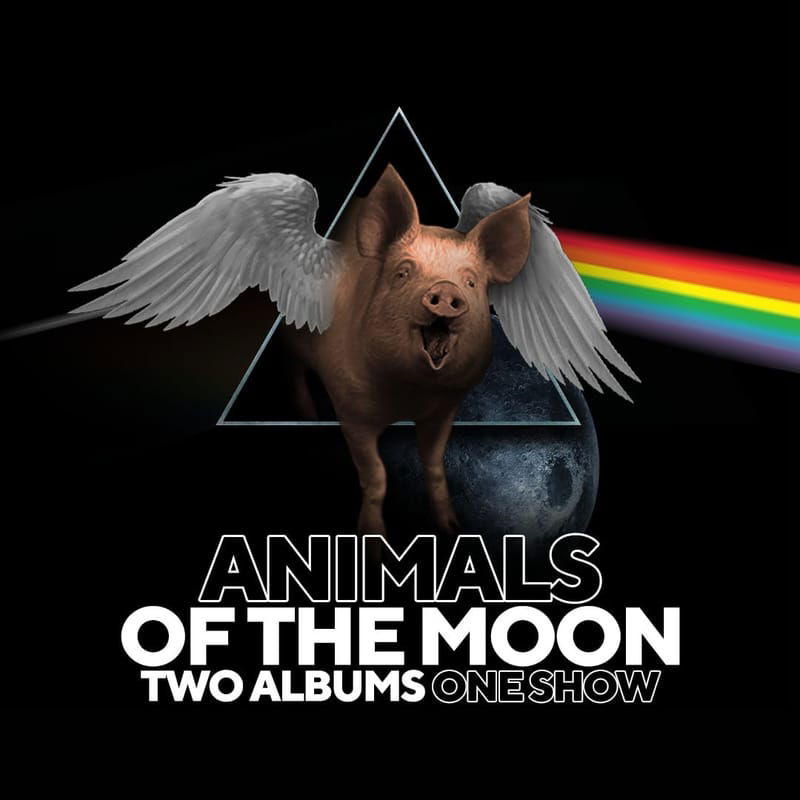 Dark Side Of The Moon & Animlas