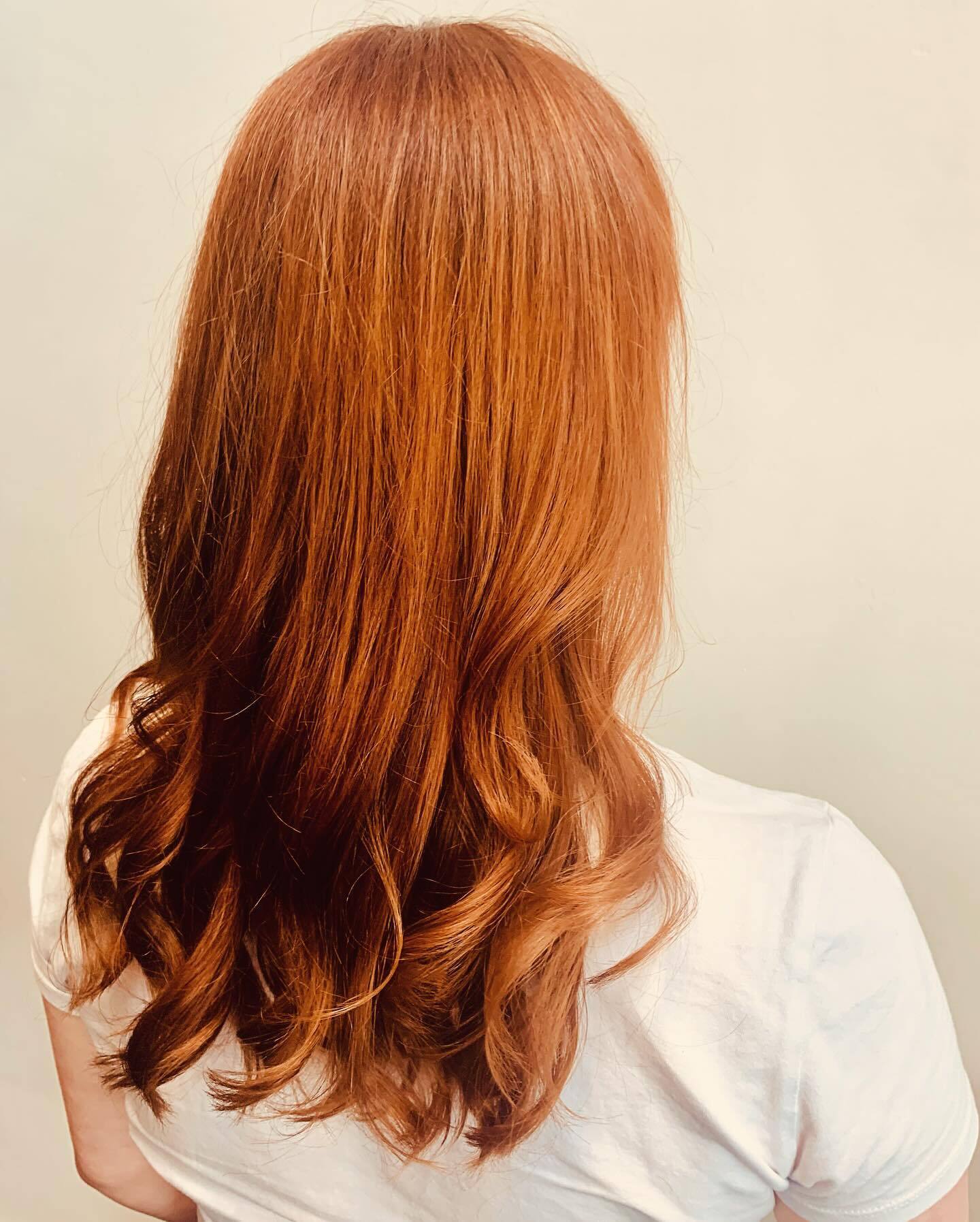 Elevate HAIR Palmerston North &A haven for tousled tresses + lived in