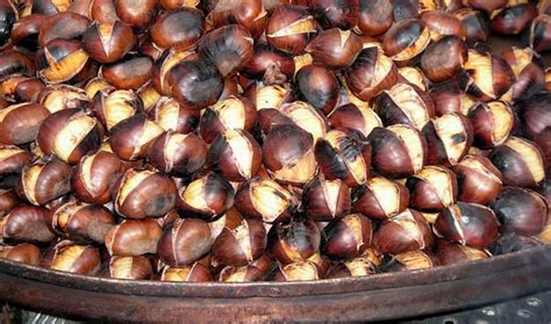 MARRONATA 2018