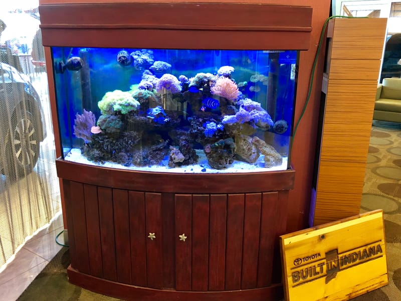 90 Gallon Aquarium Clark's Aquarium Service