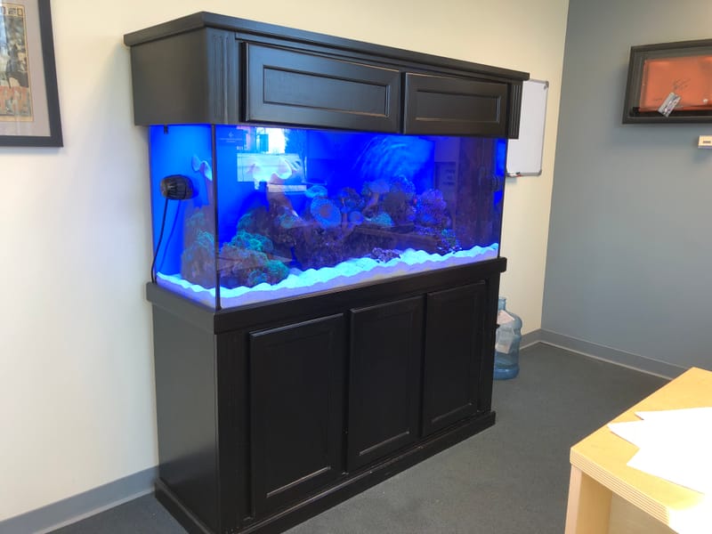 5 foot 120 gallon aquarium