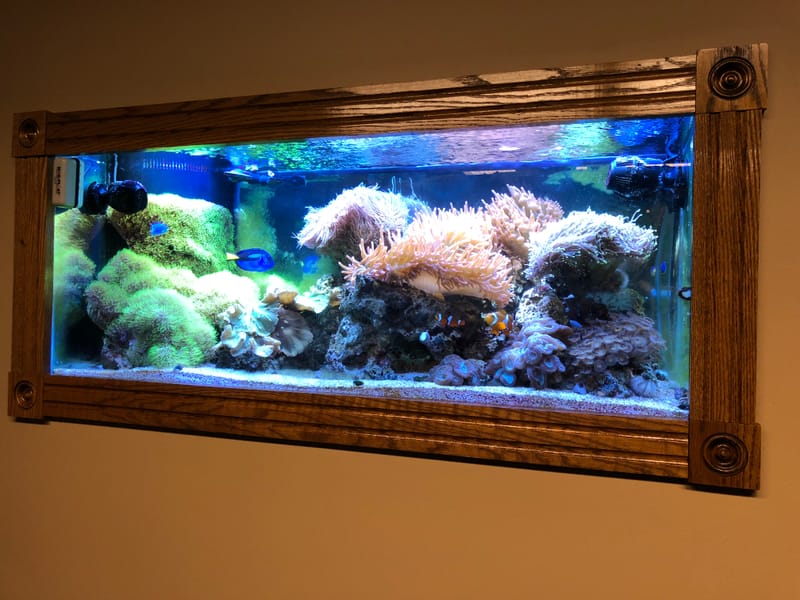 75 Gallon Aquarium Clark's Aquarium Service