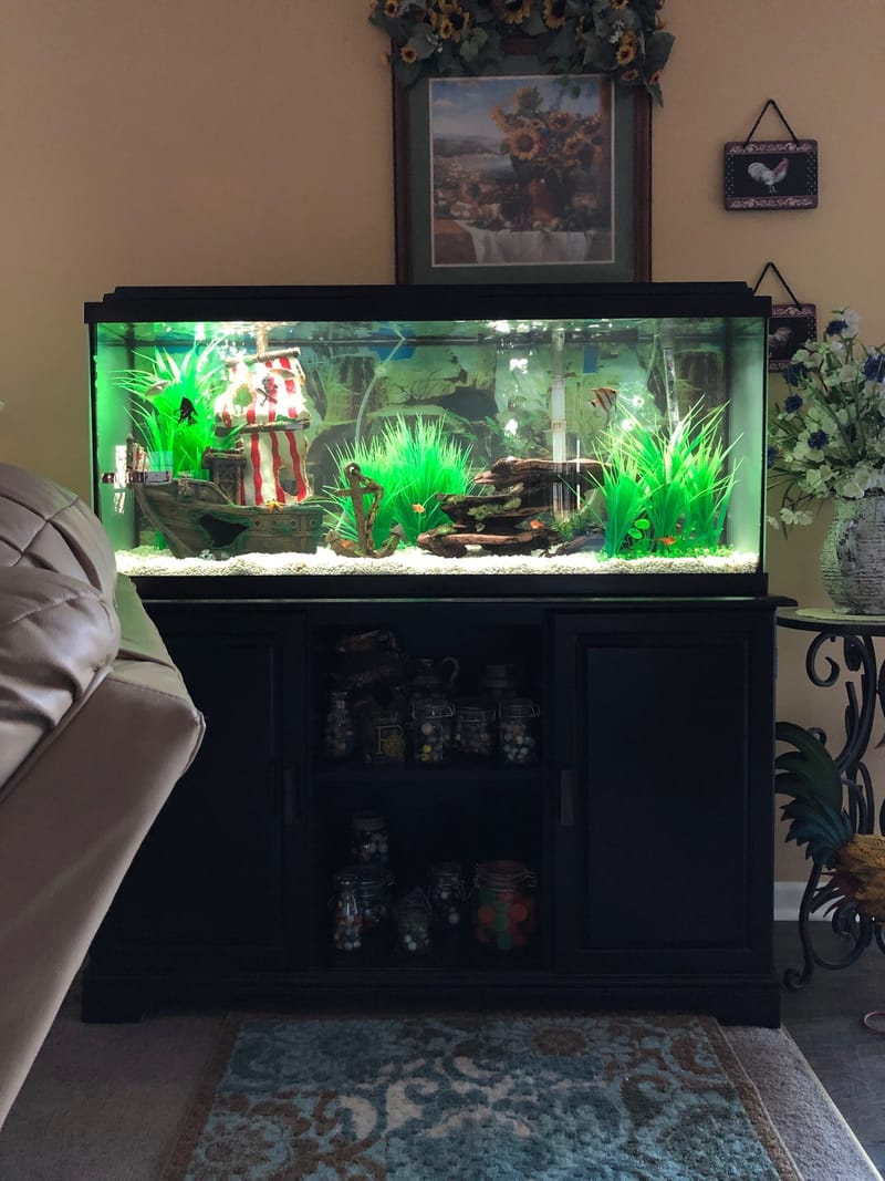 55 Gallon Aquarium - Clark's Aquarium Service