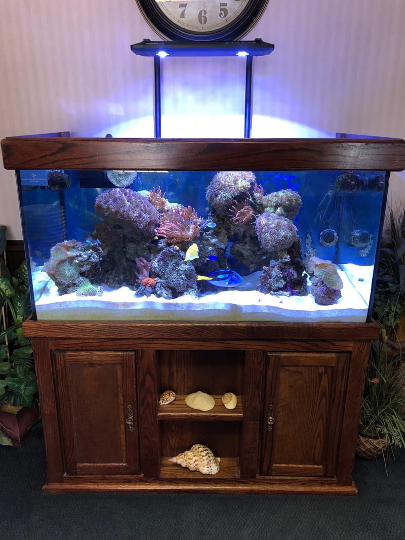 120 Gallon Aquarium - Clark's Aquarium Service