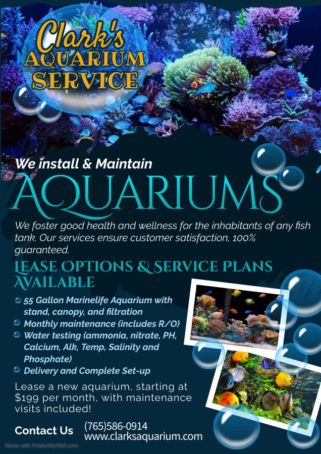 Aquarium Leasing