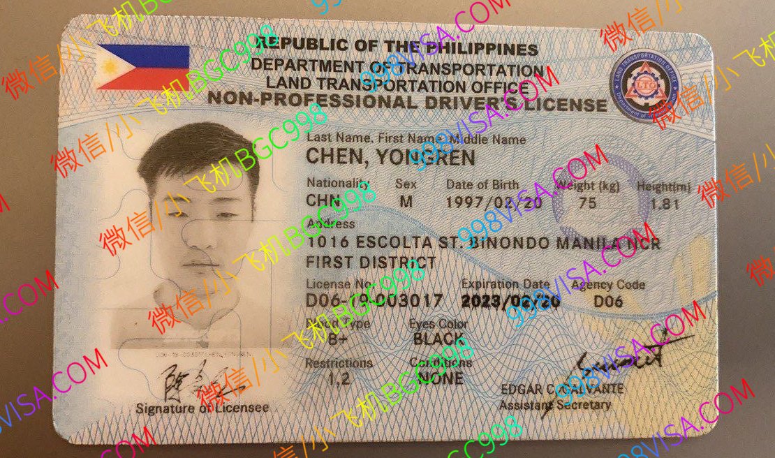 办理一本真的菲律宾驾驶证需要什么材料？