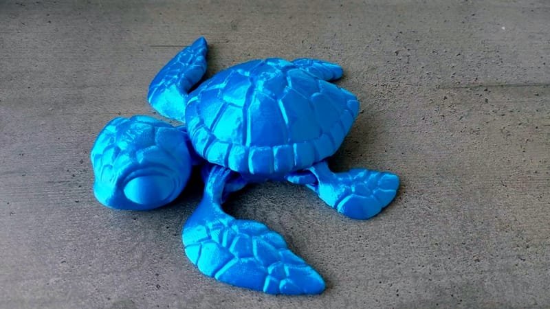 Tengeri teknős-B6