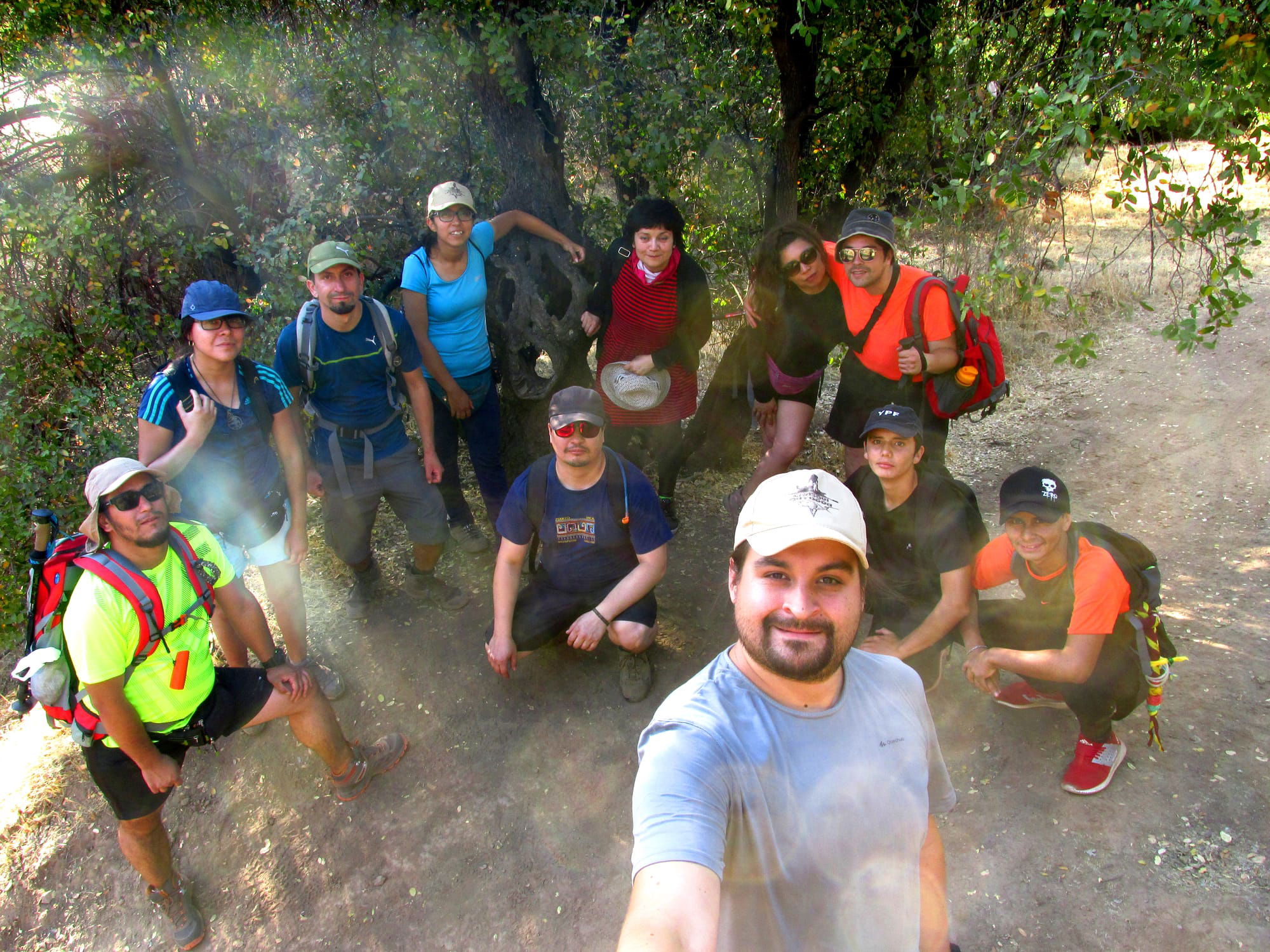 Caminata Guiada Historia Secreta del Bosque Panul