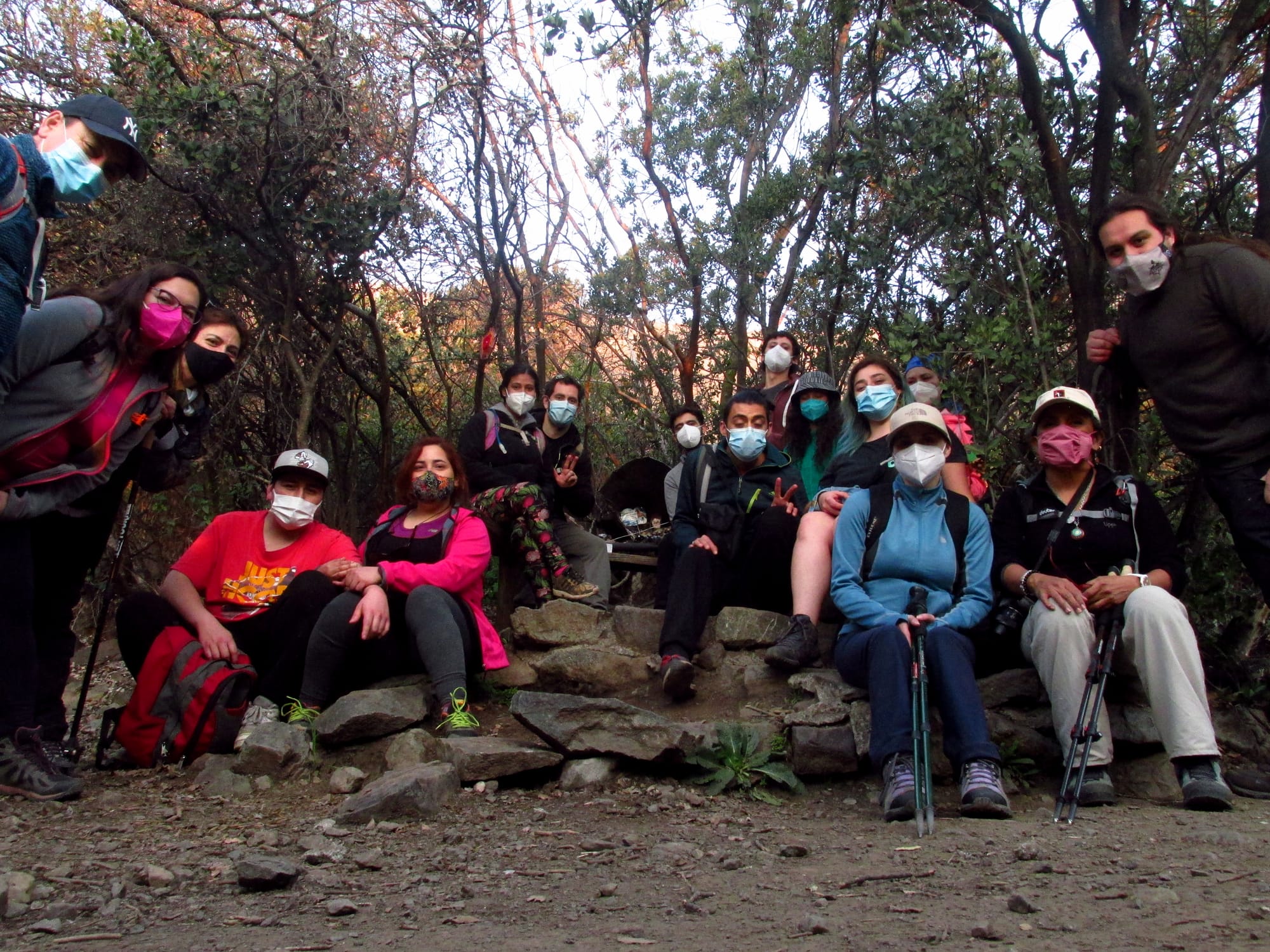 Caminata Guiada Historia Secreta del Bosque Panul