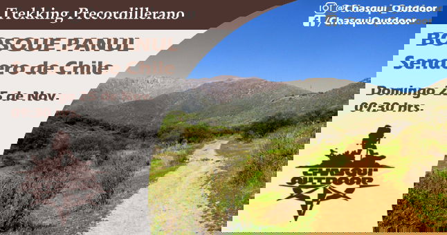 Trekking Precordillerano - Bosque Panul