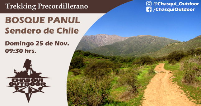 Trekking Precordillerano - Bosque Panul