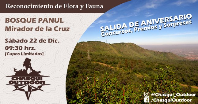 Salida de aniversario - Flora y fauna nativa del Bosque Panul